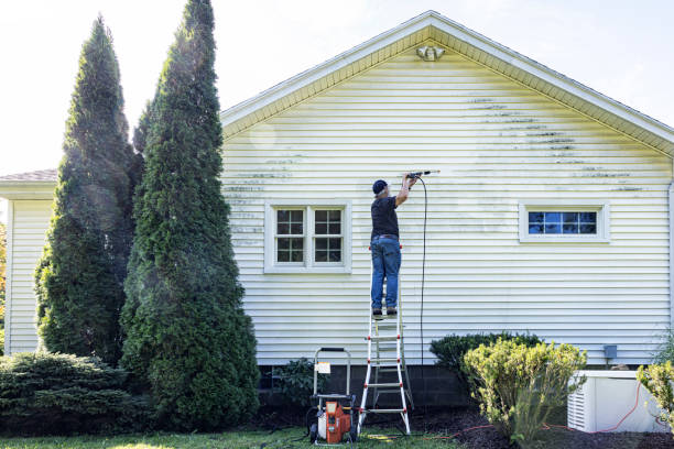 Best Boat and Dock Cleaning  in Lake Leann, MI